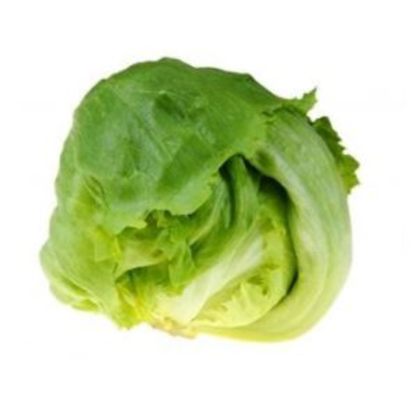 Iceberg Lettuce, Cello Bag – 6 ct