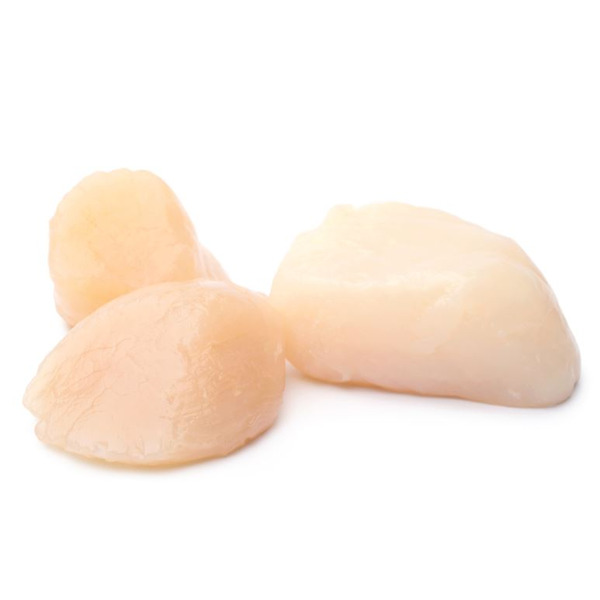 Fresh Sea Scallops – 10/20, Dry, Wild caught, USA